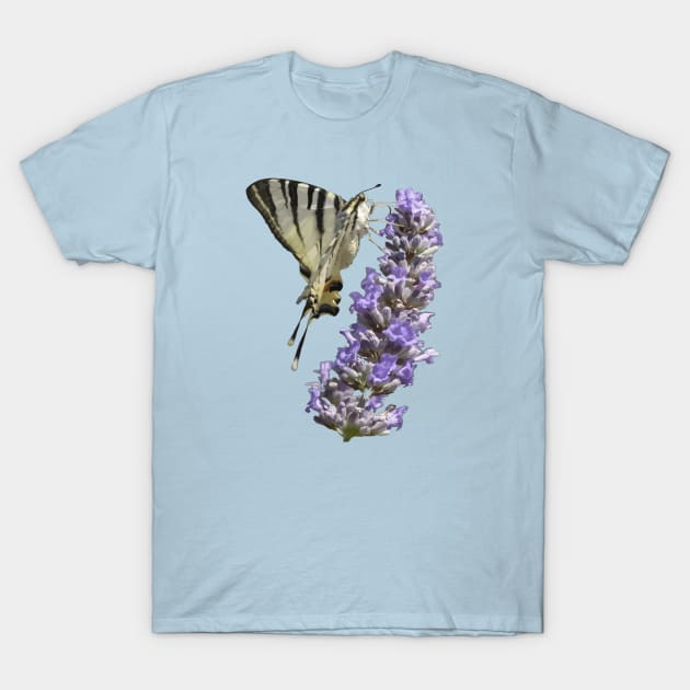 Side View Of Scarce Swallowtail Butterfly Feeding On Lilac T-Shirt by taiche